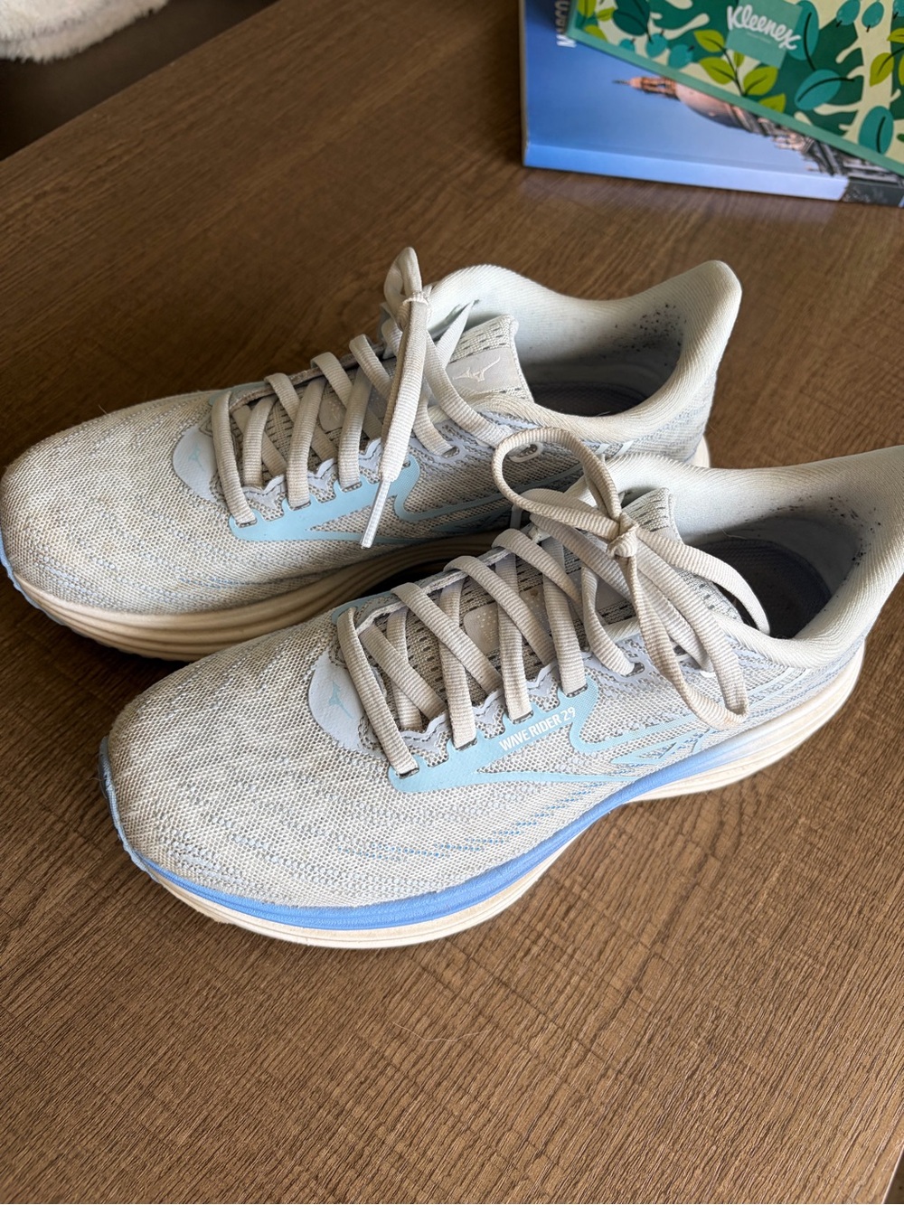 Mizuno Wave Runner 29 Women’s